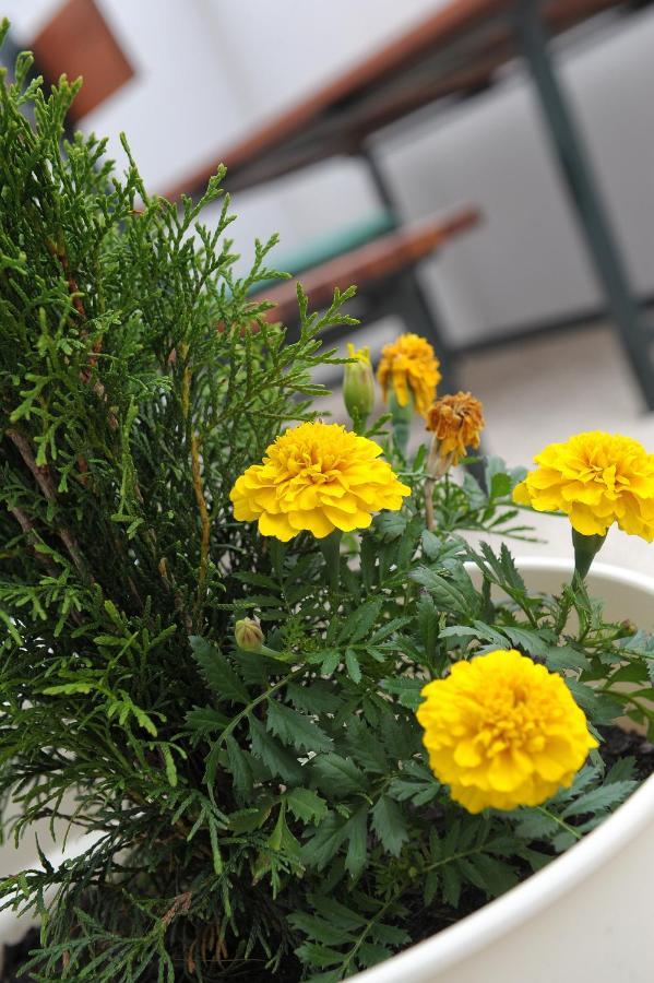 Ondina Apartman *