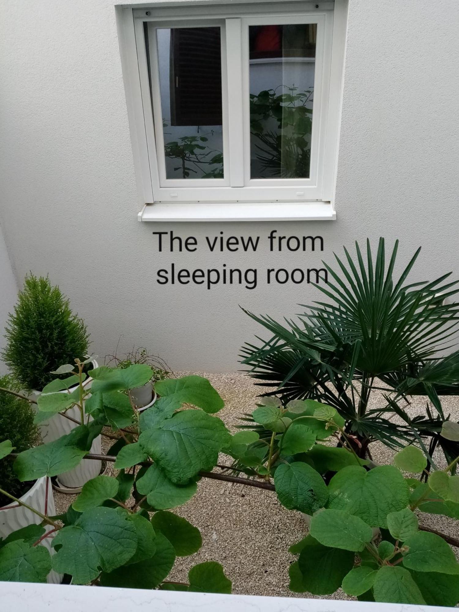 Apartman Ondina *